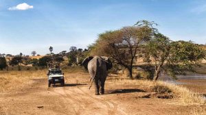 3 days safari in the Selous